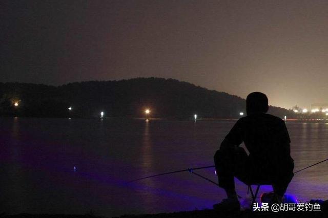 红鲫鱼怎么样饲养，红鲫鱼养殖技术（你不知道的钓鱼冷知识<4>）