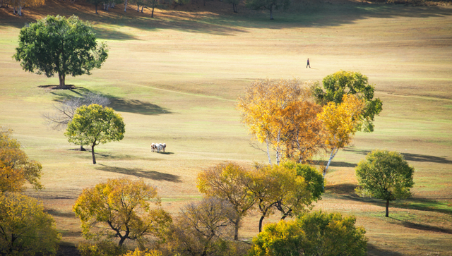 谈谈何谓批判性思维，如何培养自己的批判性思维