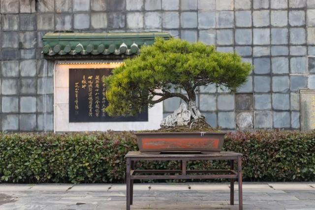 穷且益坚不坠青云之志什么意思，穷且益坚不坠青云之志是什么意思（读懂《滕王阁序》10句名言）