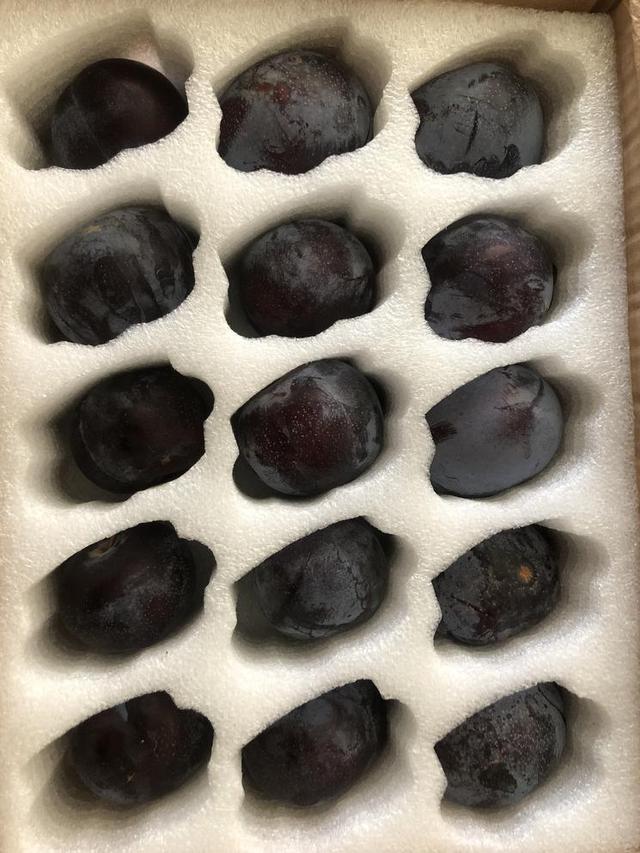 黑布林是李子吗，黑布林李子含糖量高吗（感谢种友送的李子 - 黑布林）