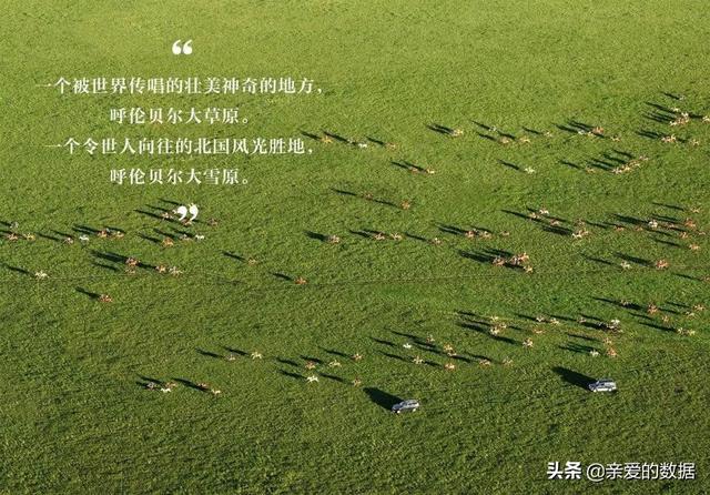 银鹭花生牛奶保质期多久，银鹭花生牛奶的保质期是多长时间（传感器、可穿戴设备、业务中台、智能供应链）