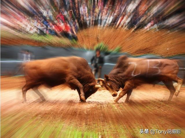 什么是快速镜头和慢速镜头，慢速镜头叫什么（超炫的摄影技巧——拉爆拍摄）