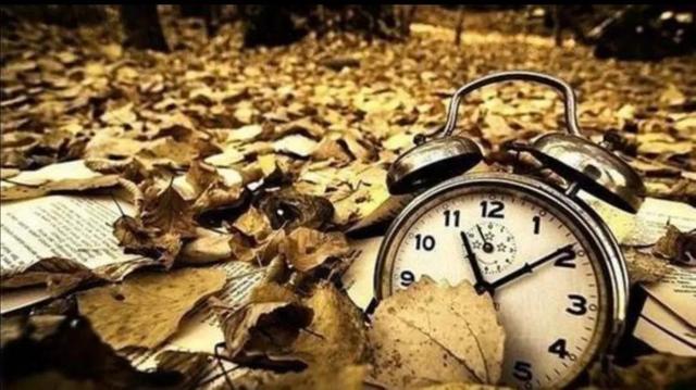 求本重生到国外的都市小说，重生成为外国人的都市小说（六本都市连载小说）