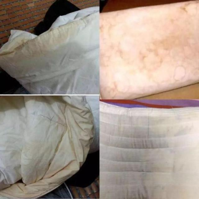 小螨虫的危害有多大，小小的螨虫对人体的危害有多大