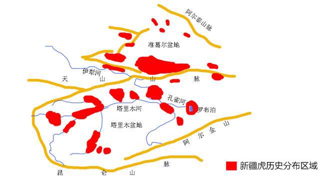 华南虎和东北虎的区别，中国打虎史：浅谈华南虎