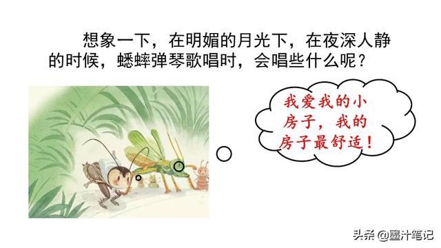 蟋蟀的住宅指的是什么，蟋蟀的住宅 是指什么（第三单元《蟋蟀的住宅》课文讲析）