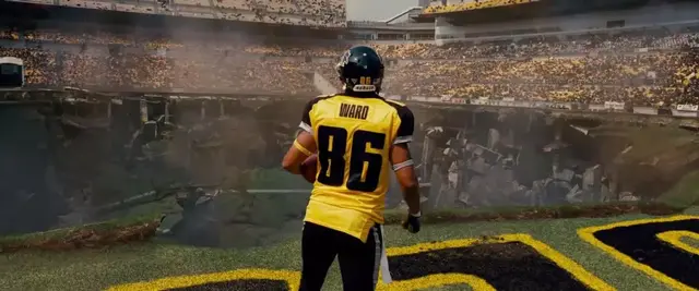 猪突猛进是什么意思，猪突猛进是什么意思日语（自愿宅和强制宅完全是两种感觉）