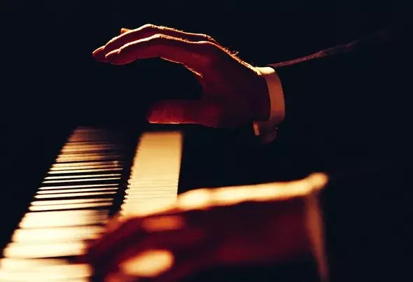 什么是舞蹈鉴赏，什么是舞蹈鉴赏的本质（从手、腿、躯干开始）