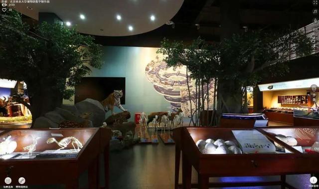 北京林业大学图书馆，北京林业大学怎么样（来北京旅游不可错过的5处经典标志性“景点”）