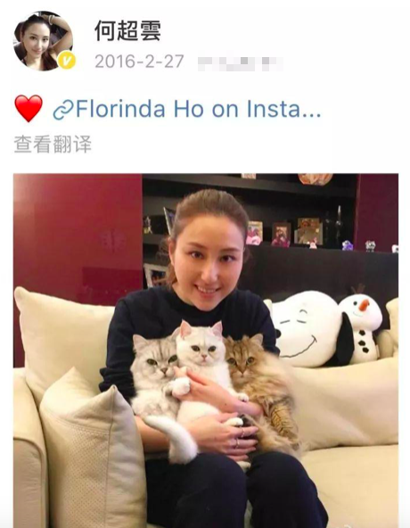 大发88黄金版娱乐官网下载888，大发88黄金版娱乐官网下载888女巫（从私人看护到赌王三姨太）