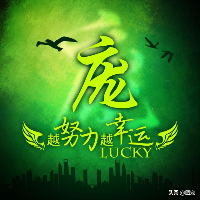 多幸运在最美的年纪遇见你，多幸运，在最美的年纪遇见你（一款以绿色为背景的微信头像悄悄送给你）