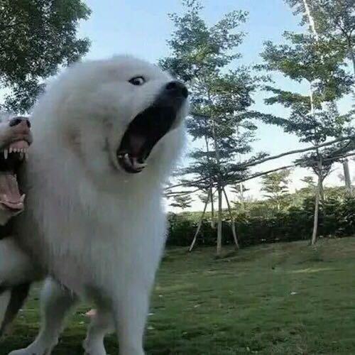 浅心：从前初识这世间 万般留恋，从前初识这世间下一句微信（情侣头像l你出现以后）