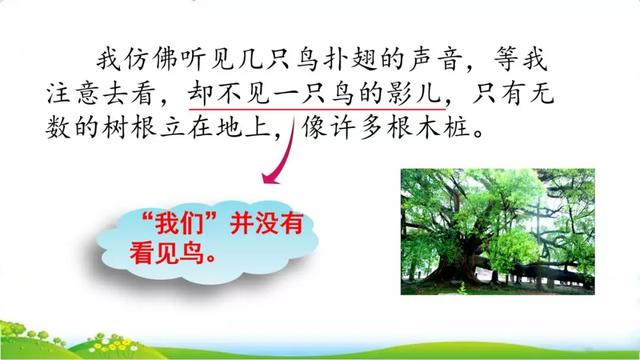 应接不暇的暇是什么意思，眼睛应接不暇的暇是什么意思（部编版五年级上册第23课《鸟的天堂》图文讲解）