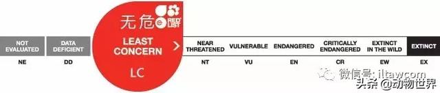 企鹅都有哪几种分别生活在哪里呢，企鹅都有哪些（详解世界上的18种企鹅<一>）