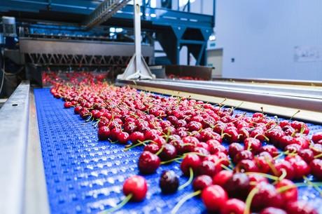 车厘子存储方式，车厘子保存方法和温度（智利车厘子用什么炼了“不坏金身”）