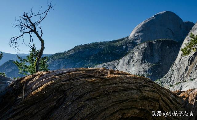 芳泽是什么意思，一亲芳泽的意思是什么（芳泽的例句有哪些）