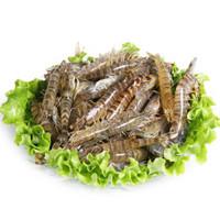 虾有多少品种，淡水虾有哪些品种（虾类双11购买攻略富山虾）