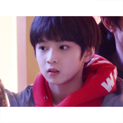 刘耀文/宝贝文/陪文耀底/小狼崽/可爱/精选/愿喜，微信头像，刘耀文/宝贝文/陪文耀底/小狼崽/可爱/精选/愿喜（刘耀文图片，小狼崽进化记）