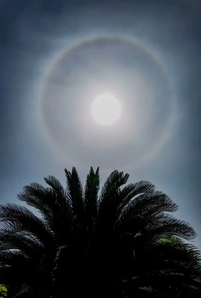 月晕是什么意思，天空中出现月晕是什么意思（接下来几天会阳光灿烂么）