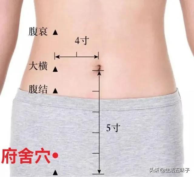 冲门的准确位置及作用，冲门的准确位置及作用图（脾经上重要穴位—舍府穴、冲门穴、箕门）