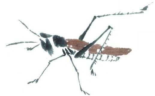 蜻蜓简笔画，蜻蜓简笔画彩色（老艺术家教你几个画法）