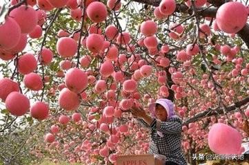 中国红是什么颜色，中国红颜色怎么调配（中国红，最美的颜色！）