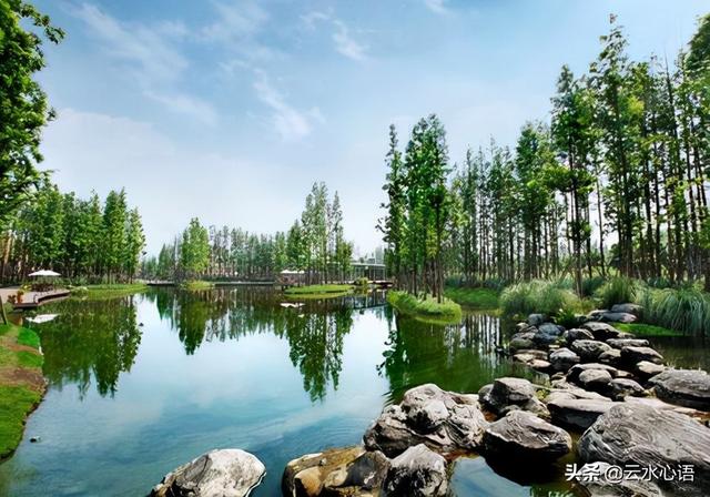 与顾章书原文及翻译，与顾章书（兴致高涨地写了一篇美文）