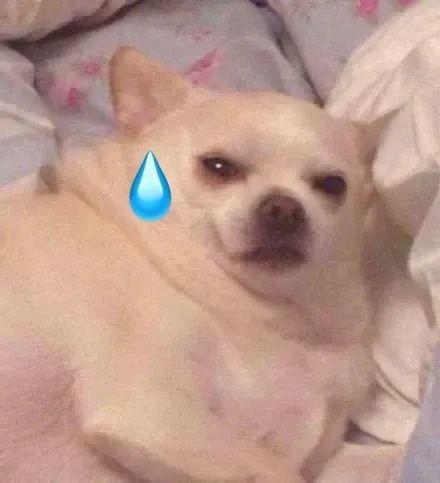 迅雷下载时出现：任务包含违规内容无法下载！，迅雷下载时出现（凉了7年的快播）