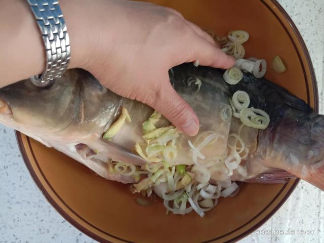 框镜鱼是什么鱼，鱼皮不破鱼肉不腥