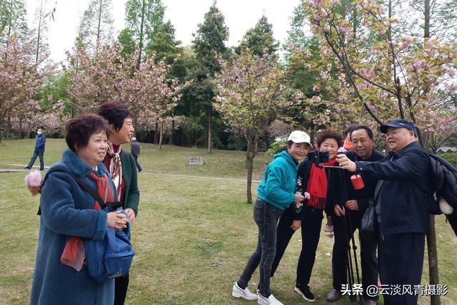 最简单能令人放松心情的图片 偶尔防空一下自己，让人心情放松的图片（醉倒在那片春色里）