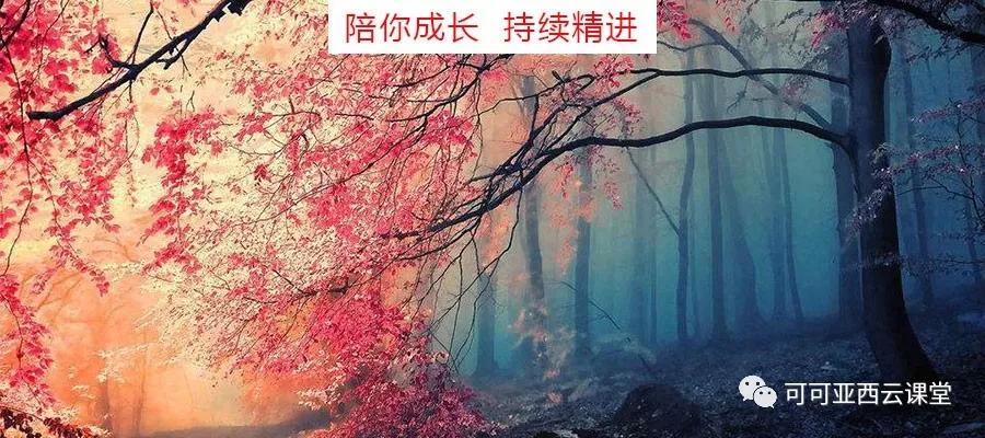 网站策划方法有哪些（网站策划的5大方法解析）