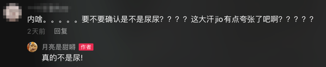 可爱表情包.抱我的小猫腿舔我的jio，微信头像，可爱表情包.抱我的小猫腿舔我的jio（却把评论区逼成了恋jio癖哈哈哈）