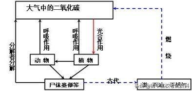 血型配对表图口诀，血型遗传规律表顺口溜（冲刺2020年中考-初中生物记忆口诀+知识点大全）