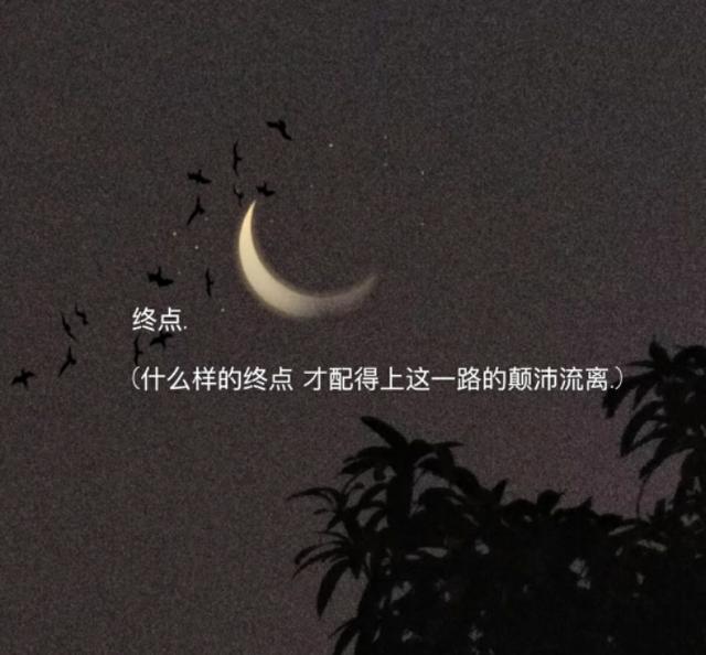 有特殊意义的网名，拥有特殊意义的网名（喜欢的人是海面上的灯塔）