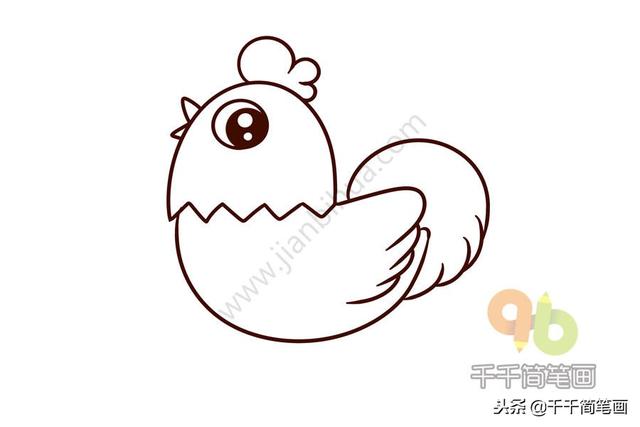 公鸡母鸡简笔画，公鸡母鸡简笔画彩色（一分钟学会画大公鸡和大母鸡）