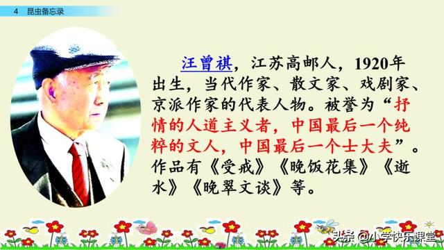 什么的硬翅，什么的硬翅？填四个字。（小学部编三年级语文下第4课《昆虫备忘录》图文+知识点+同步练习）