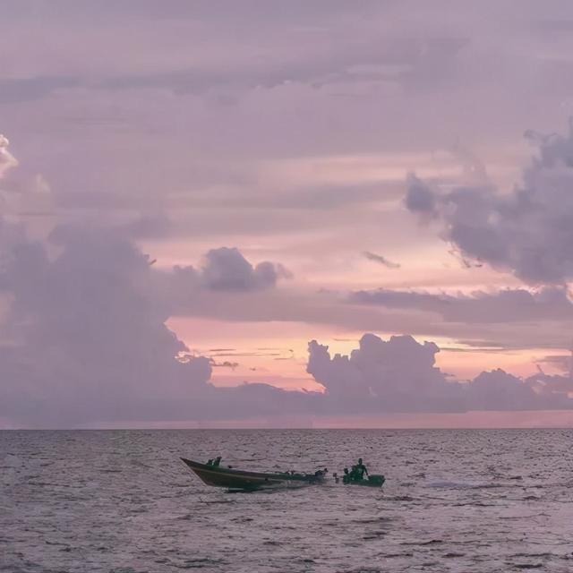 可爱治愈系草莓壁纸/ls，微信头像，可爱治愈系草莓壁纸/ls（可爱草莓\u0026唯美头像）
