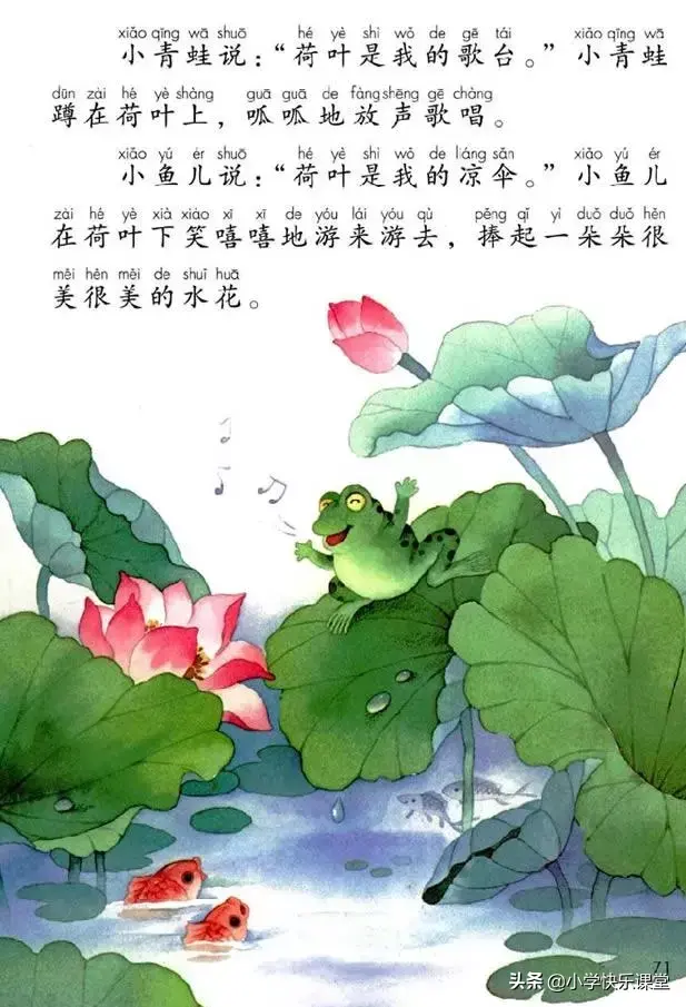 一什么荷叶一什么凉伞，荷叶是小雨的凉伞（小学部编版一年级下册语文课文13《荷叶圆圆》图文解读+知识点）