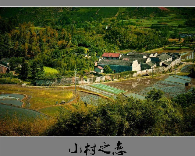 台湾作家，只花了五分钟就写出了《甜蜜蜜》（台湾作家林清玄）