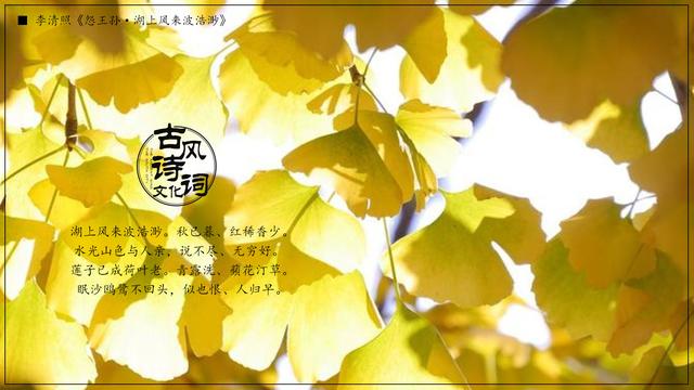 李清照坦然面对人生，李清照用豁达、爽朗的人生态度