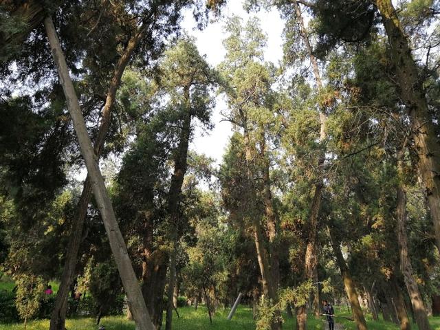 东汉天降陨石，刘秀坟的传说