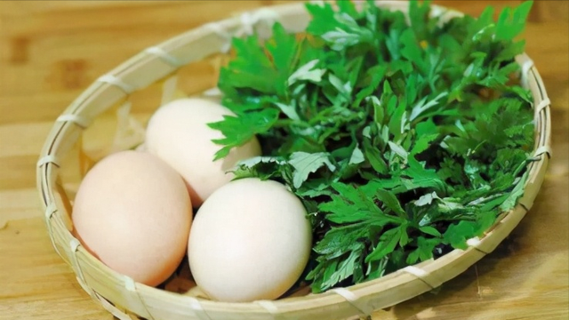 野生艾叶可以经常吃吗，野生艾叶吃了有什么作用（舌尖上的野菜——艾叶）