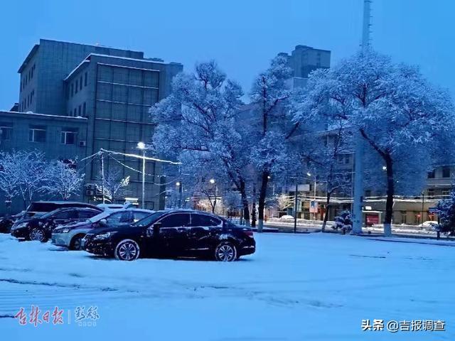 白雪却嫌春色晚，白雪却嫌春色晚下一句是什么（白雪却嫌春色晚,下一句是什么）