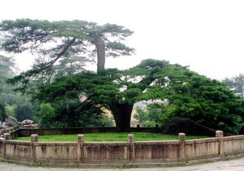 拥有双重桂冠的佛教四大名山之九华山，九华山是佛教四大名山之一吗（中国佛教四大名山之一的九华山）