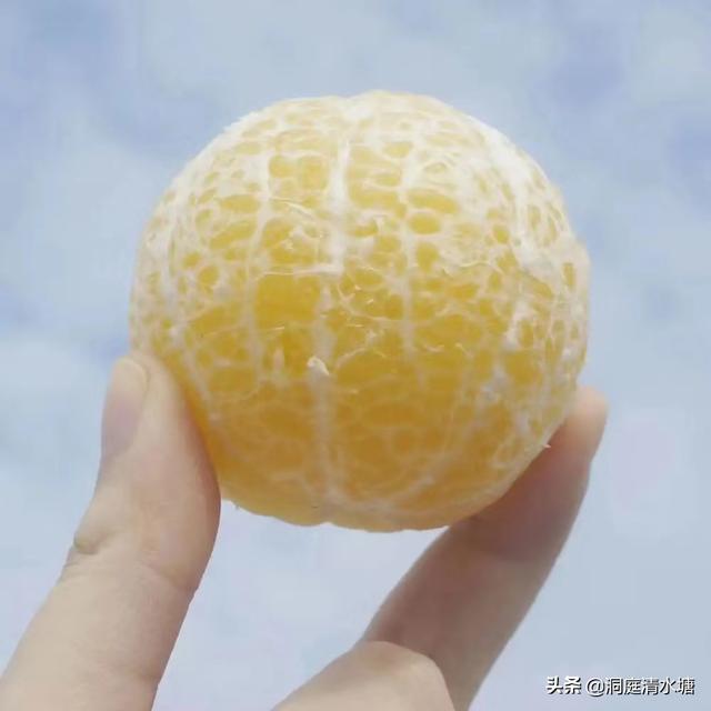 羞涩小蜜橘网名，羞涩小蜜橘微信昵称（味道纯甜如蜂蜜）