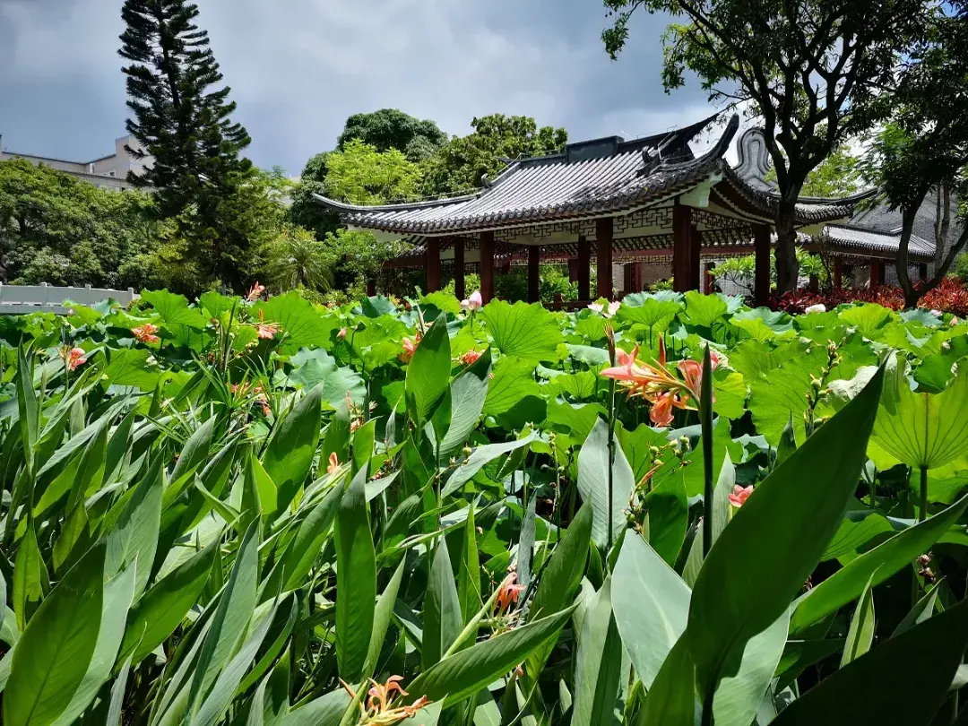 广西大学mba(北京理工大学会计学硕士)