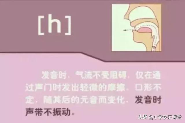 音标读音表发音教学，音素表怎么写（48个国际英语音标发音表及口型）