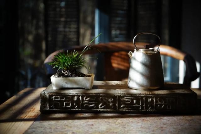 白茶制作技术与工艺，看见茶本来的样子