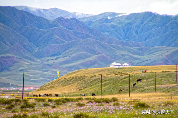 草原都有哪些类型，内蒙古的草原类型有几种（全中国最美丽的八大草原）