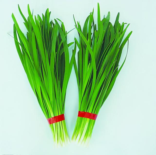 狗狗能喝蜂蜜水吗，狗可不可以喝蜂蜜水（别再给狗狗吃这些食物）
